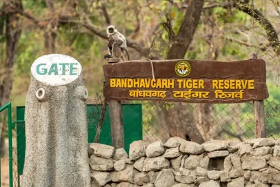 Bandhavgarh_park