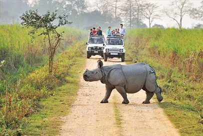 Kaziranga_park